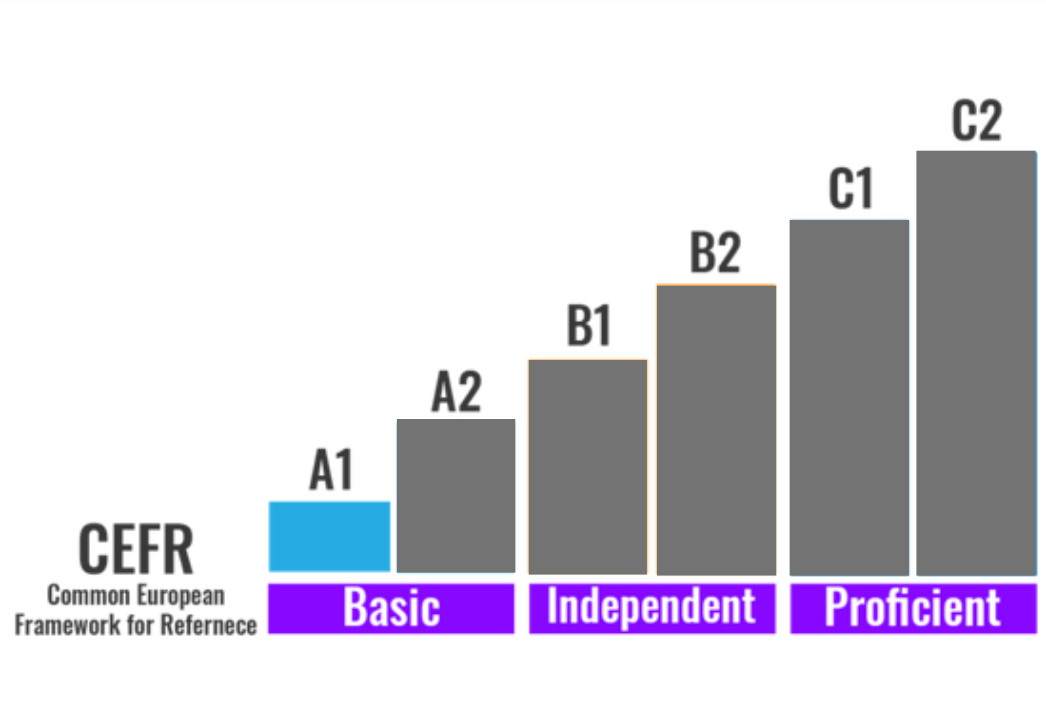 A1 Level German Language Classes in Pune | Lingua Sphere